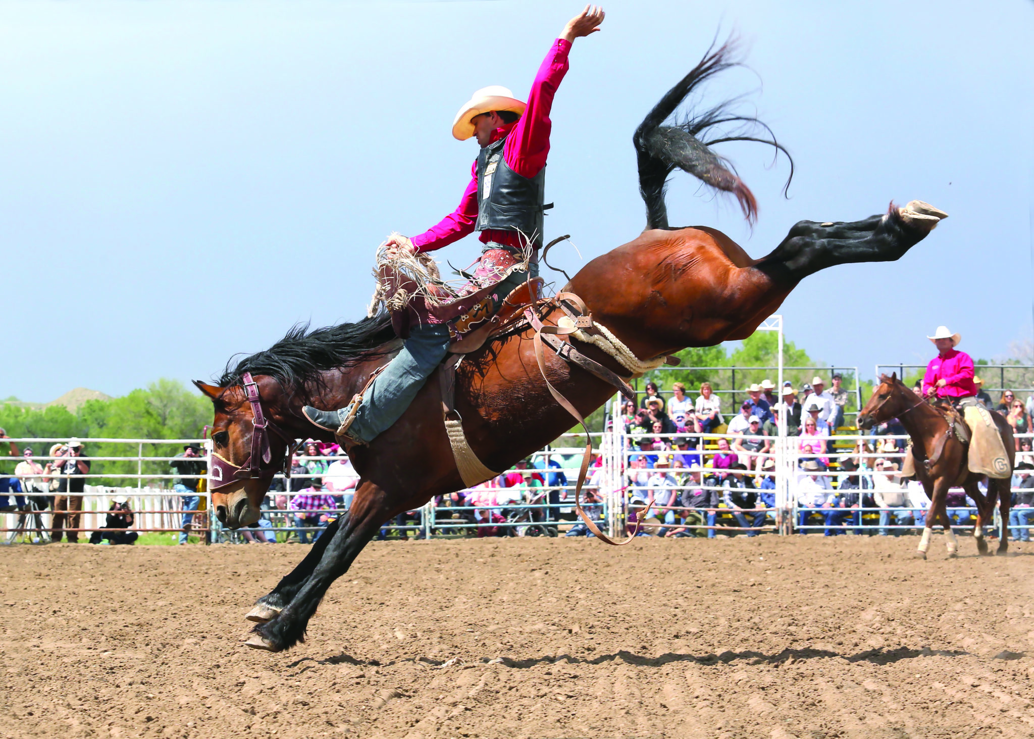 Trips on a Tankful World Famous Miles City Bucking Horse Sale